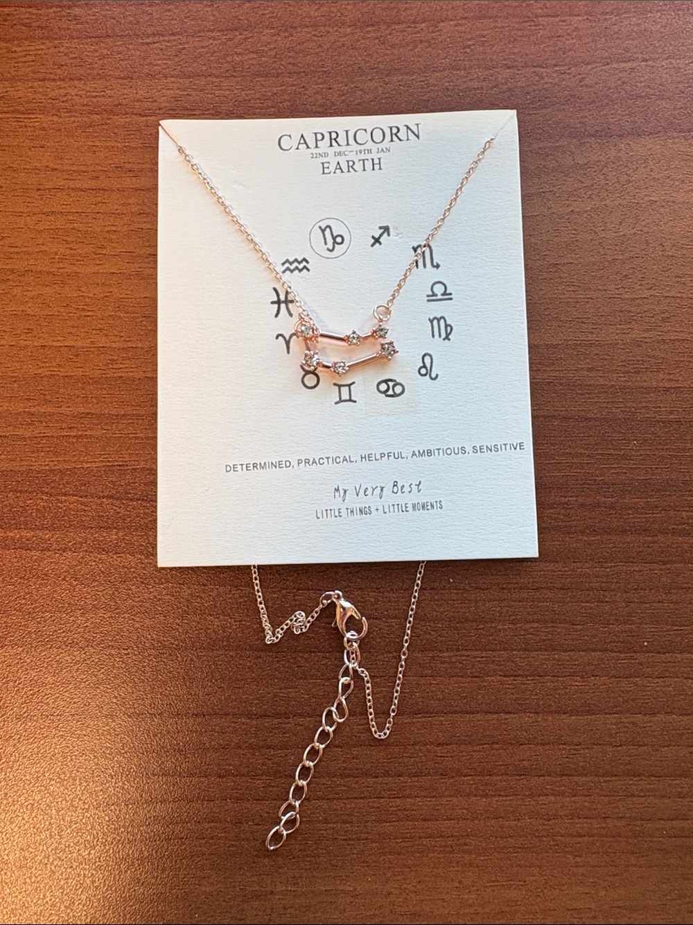 New Capricorn Necklace